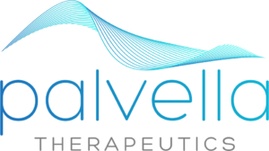 Palvellas-new-logo-from-website